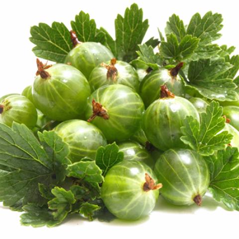 image fruits_hr_0035-jpg