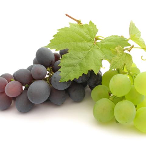 image fruits_hr_0038-jpg
