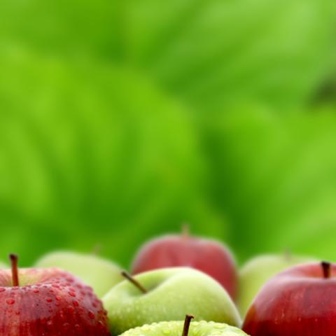 image fruits_hr_0047-jpg
