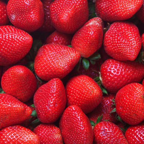 image fruits_hr_0058-jpg