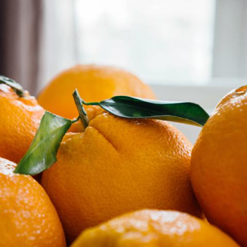 image fruits_hr_0152-jpg