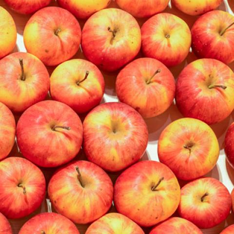 image fruits_hr_0162-jpg
