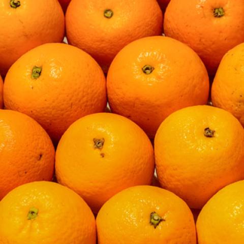 image fruits_hr_0164-jpg
