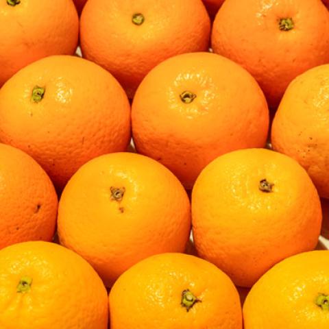 image fruits_hr_0165-jpg