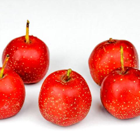 image fruits_hr_0166-jpg