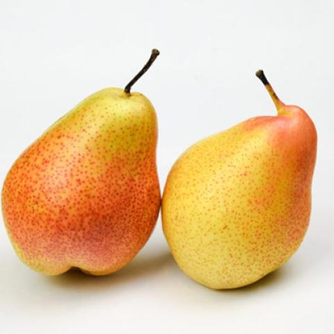 image fruits_hr_0168-jpg