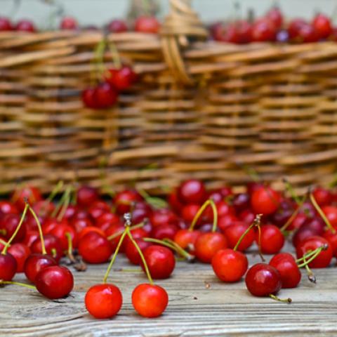 image fruits_lr_0007-jpg