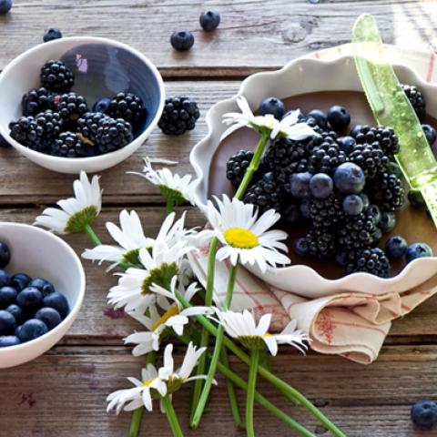 image fruits_lr_0009-jpg