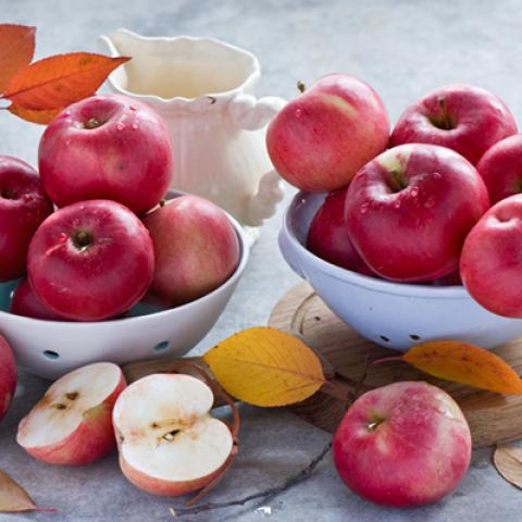 image fruits_lr_0014-jpg