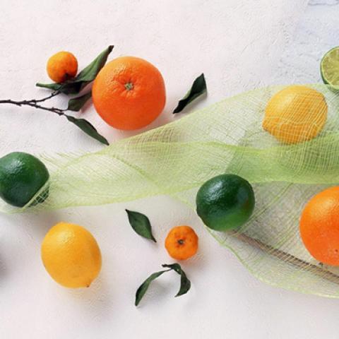 image fruits_lr_0018-jpg