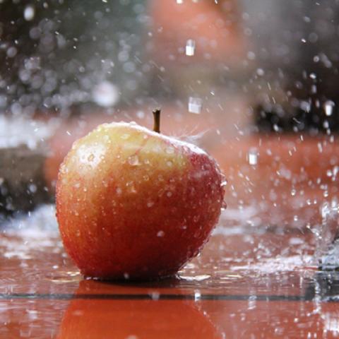 image fruits_lr_0020-jpg