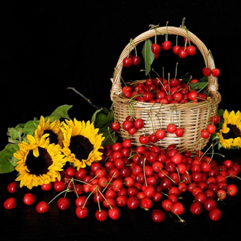 image fruits_lr_0023-jpg