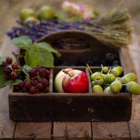 image fruits_lr_0034-jpg