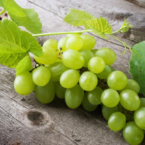 image fruits_lr_0046-jpg