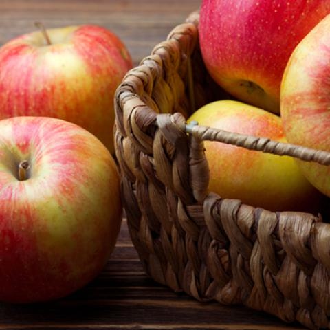 image fruits_lr_0049-jpg
