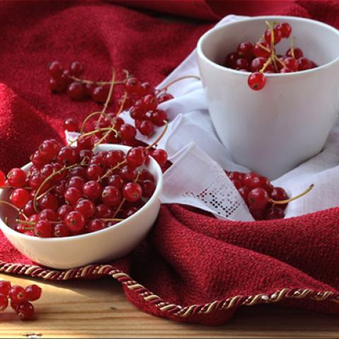 image fruits_lr_0056-jpg