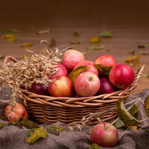 image fruits_lr_0059-jpg