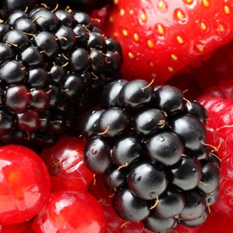 image fruits_lr_0072-jpg