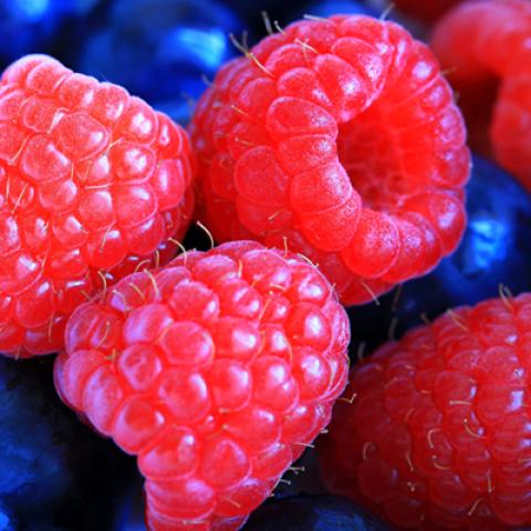 image fruits_lr_0074-jpg