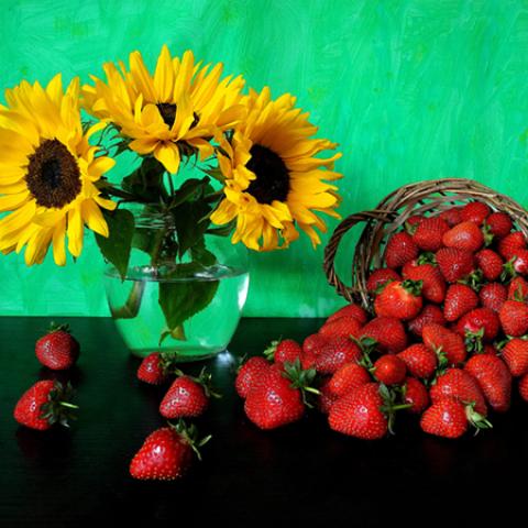 image fruits_lr_0128-jpg