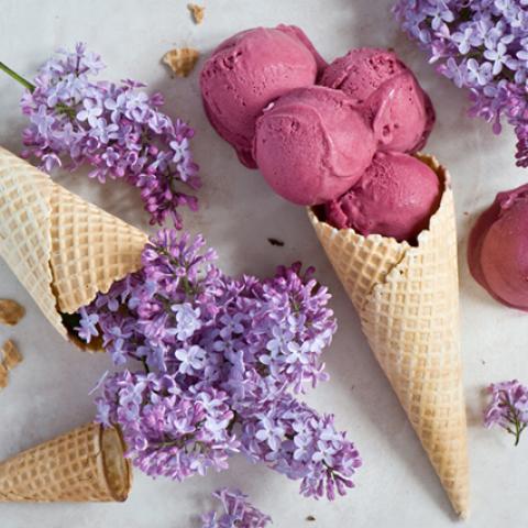 image ice_cream_lr_0001-jpg