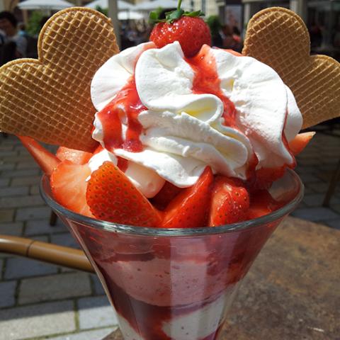 image ice_cream_lr_0026-jpg