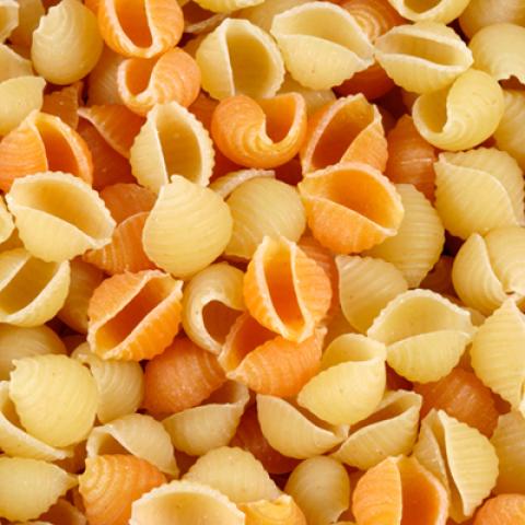 image spaghetti_lr_0010-jpg