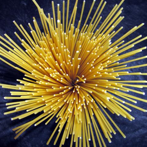 image spaghetti_lr_0016-jpg