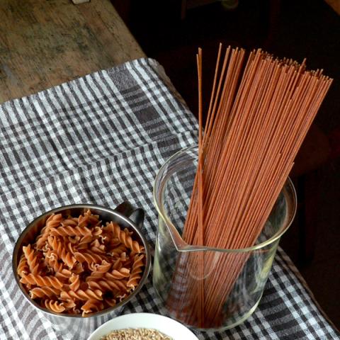 image spaghetti_lr_0027-jpg