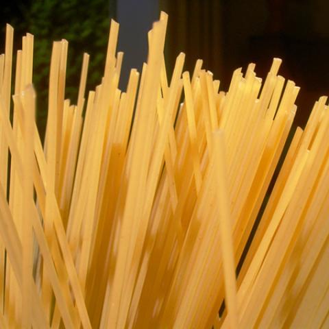 image spaghetti_lr_0028-jpg