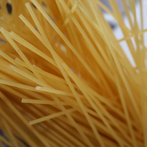 image spaghetti_lr_0033-jpg