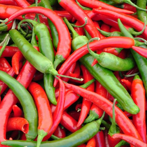 image vegetables_hr_0001-jpg