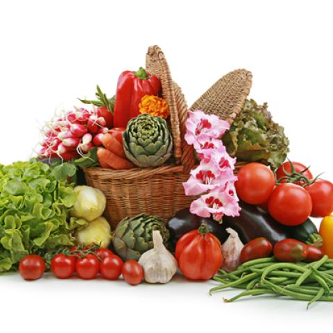 image vegetables_hr_0012-jpg