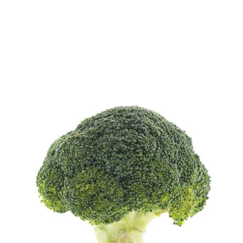 image vegetables_hr_0017-jpg