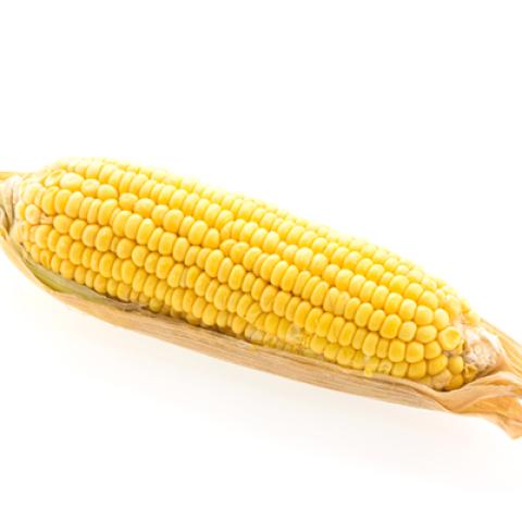 image vegetables_hr_0018-jpg
