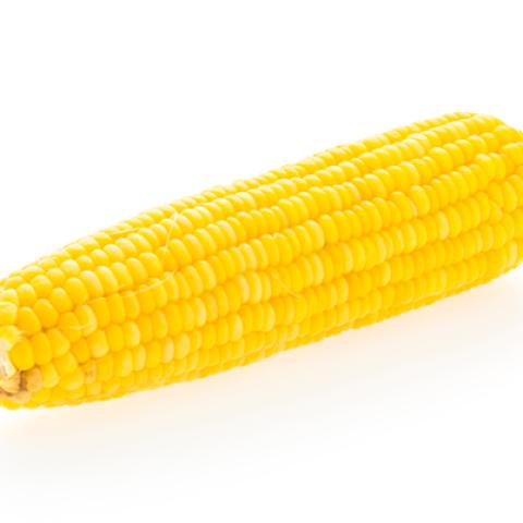 image vegetables_hr_0026-jpg