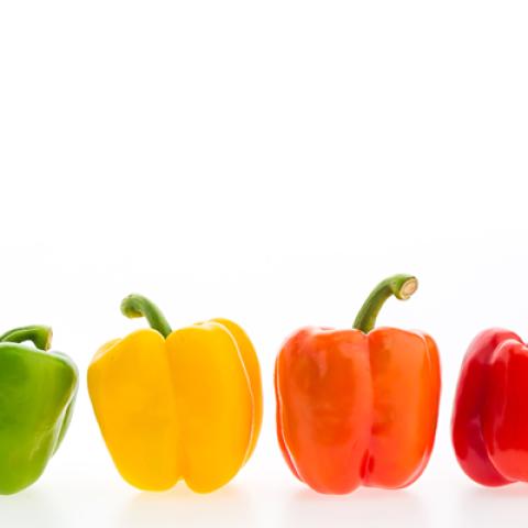 image vegetables_hr_0027-jpg