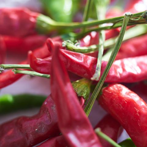 image vegetables_hr_0047-jpg