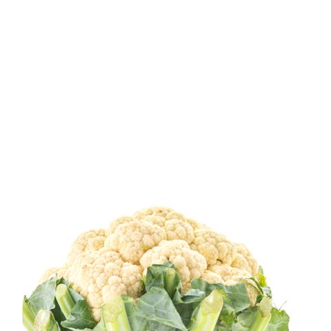image vegetables_hr_0155-jpg