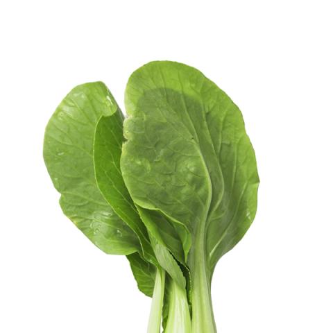 image vegetables_hr_0156-jpg