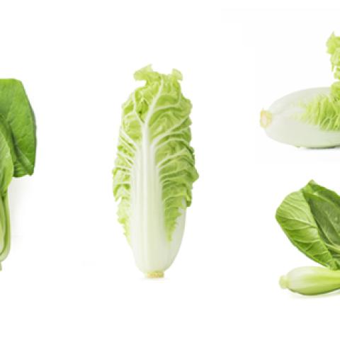 image vegetables_hr_0169-jpg