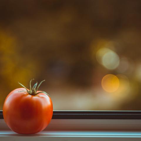 image vegetables_lr_0002-jpg