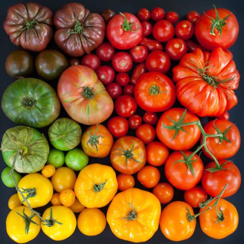 image vegetables_lr_0003-jpg