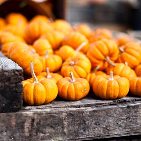 image vegetables_lr_0007-jpg