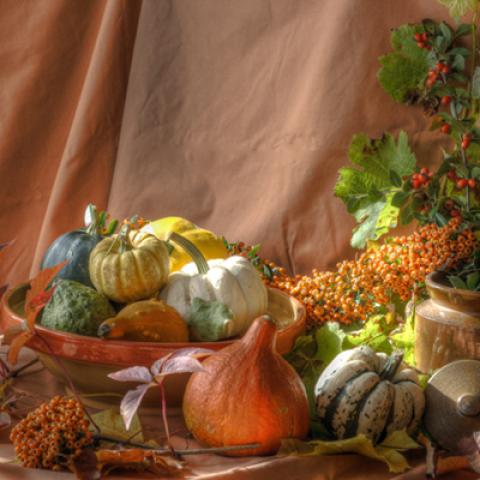 image vegetables_lr_0010-jpg