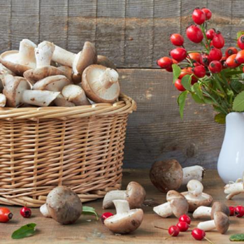 image vegetables_lr_0013-jpg