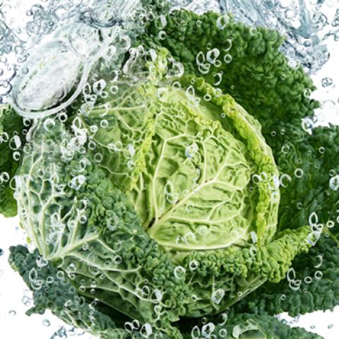 image vegetables_lr_0016-jpg