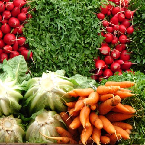 image vegetables_lr_0018-jpg