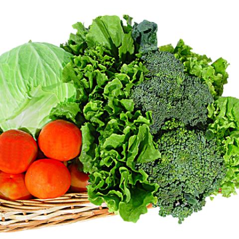 image vegetables_lr_0019-jpg
