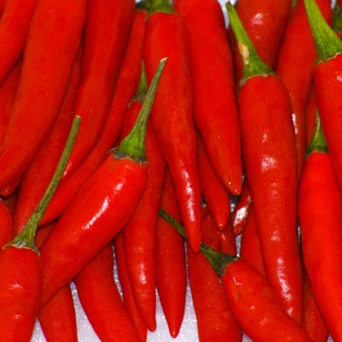 image vegetables_lr_0021-jpg